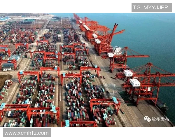 上海与深圳的城市魅力对比探讨未来发展潜力与机遇